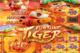 sx8 live casino